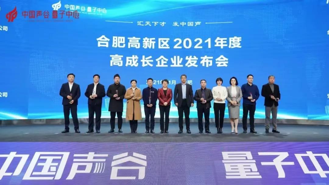 合肥波林荣获2021年度合肥高新区“深科技”企业