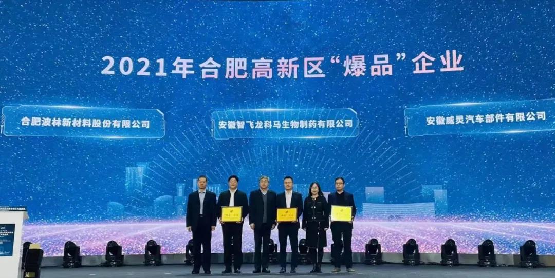 最新消息:合肥波林荣获2021年度合肥高新区“爆品”企业称号