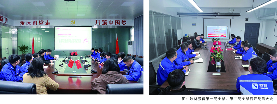 波林股份党总支召开2024年第四季度党员大会